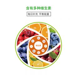 敬修堂维生素c 钙铁锌复合维生素钙片 压片糖果维生素B